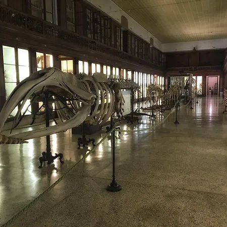 Casa San Marcellino Apartment Naples